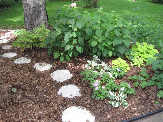  photo IMG_0449_zps34051927.jpg