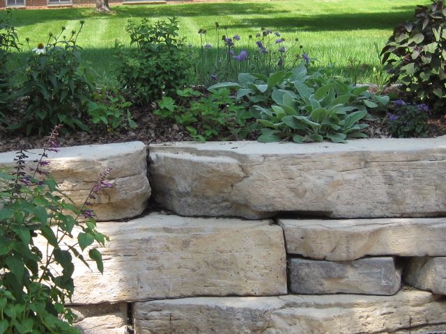  photo IMG_0469_zpsfad819e0.jpg