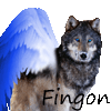 Fingon