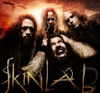SKINLAB band
