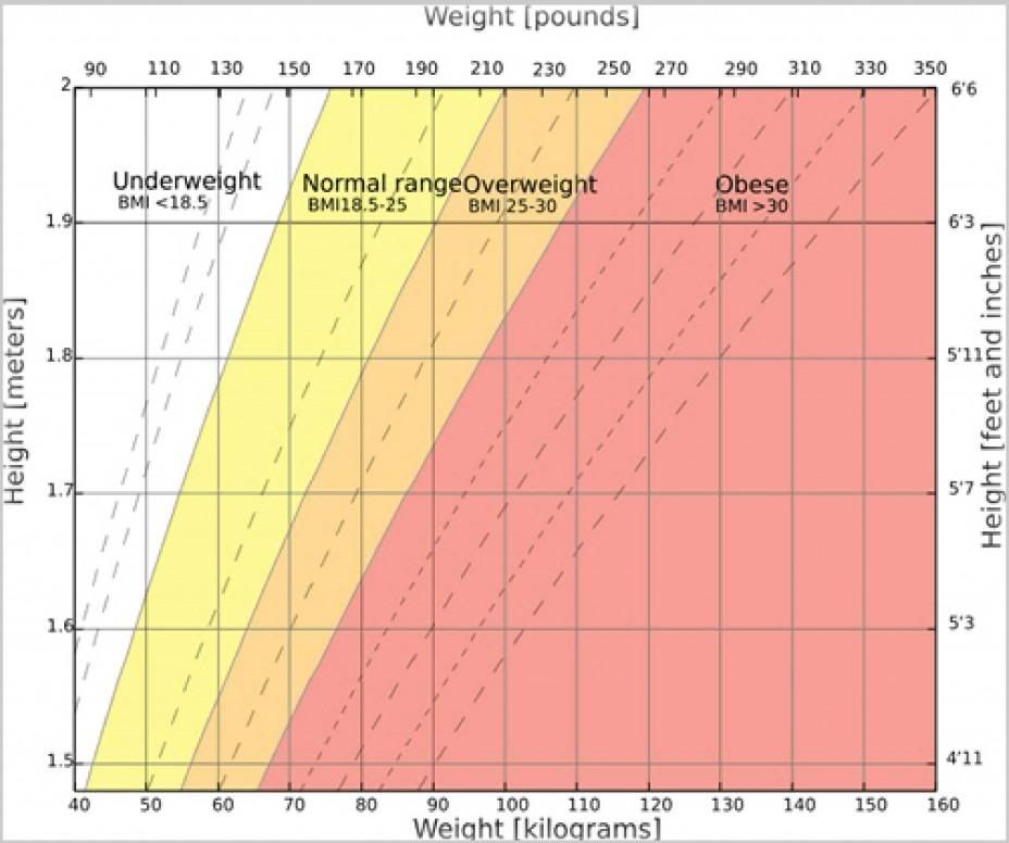 Weight To Height Ratio Chart