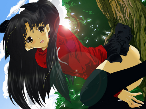 http://i231.photobucket.com/albums/ee234/Anime-Life/Rin%20Tohsaka/Tohsaka8.png