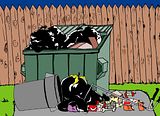 Garbage.jpg Garbage image by StuartPitt