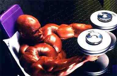 Cómo ganar masa muscular