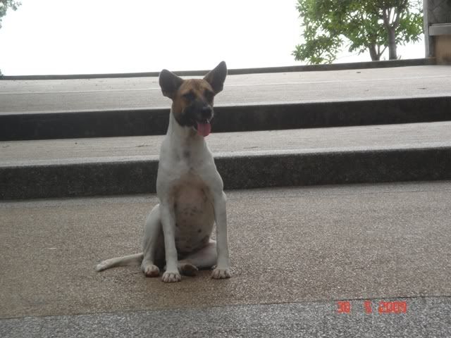 รูปภาพ