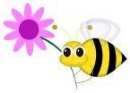 bee Pictures, Images and Photos