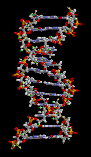 Wikimedia Commons