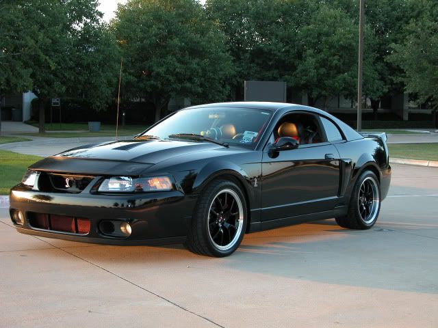 2003-Mustang-Cobra.jpg