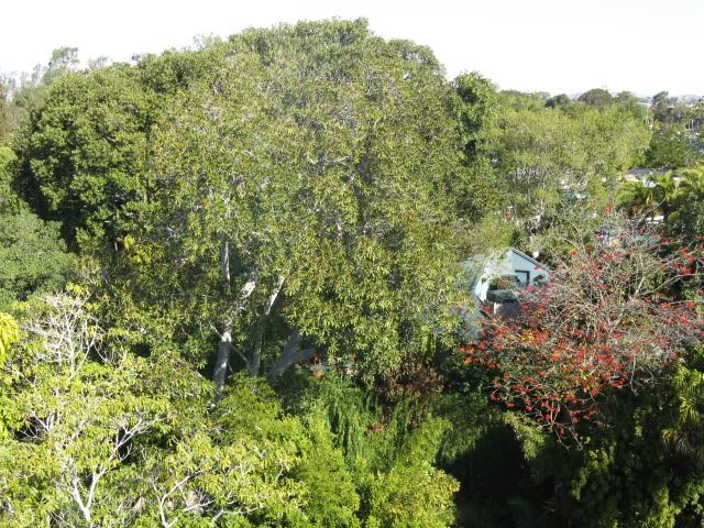IMG_0912.jpg
