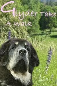 Glyder Take A Walk
