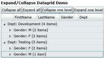 Silverlight datagrid Collapsed