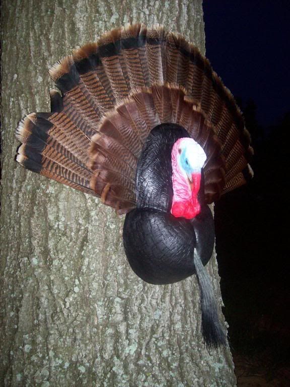 Artificial Turkey Breast Mount Forum