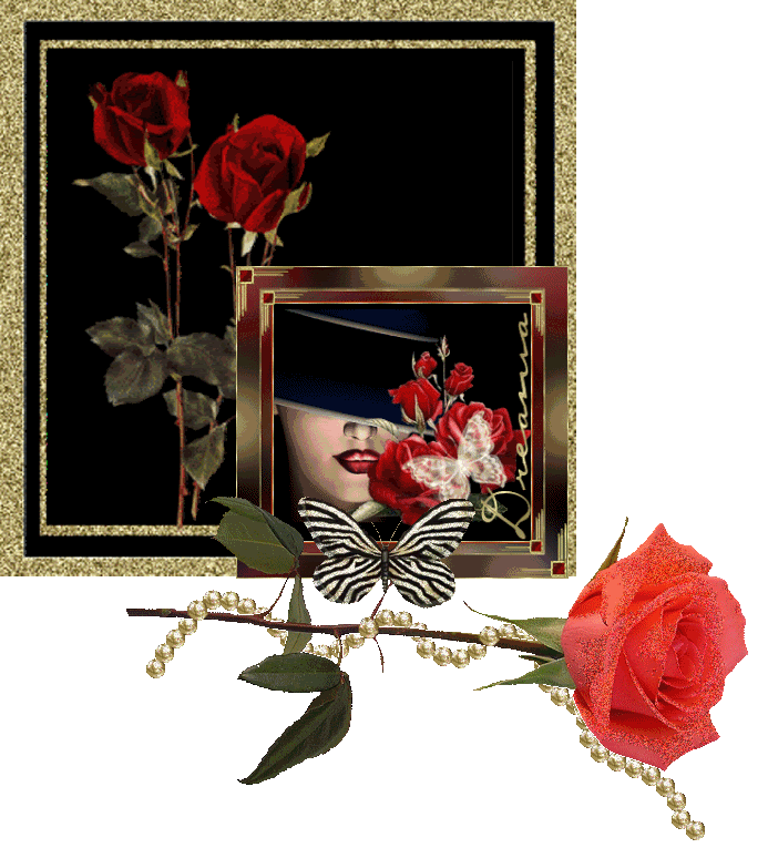 red roses Pictures, Images and Photos