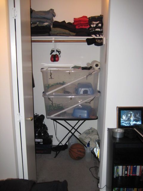 Closetsetup.jpg