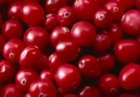 Do You Love Cranberries?
