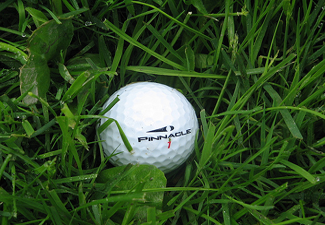 Golf Balls!