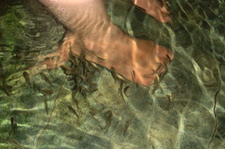 Est Stealing My Fishes