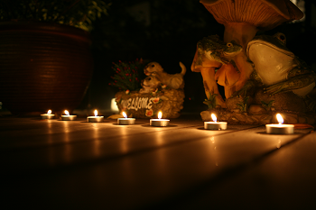 Photo Sharing and Video Hosting at Photobucket