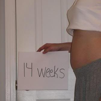 14 Weeks