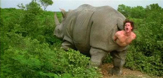 AceVentura-Carrey-rhino_zps6aabb8ec.jpg