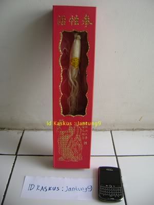 Ginseng Putih
