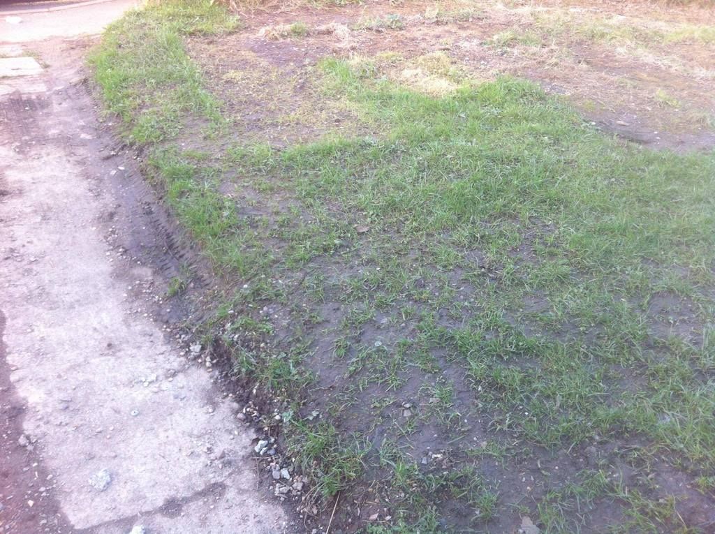 17692956_10154250262821987_303661712_o.j