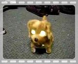 DevilDog.mp4 video by LinworthNewt