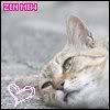 zena Avatar