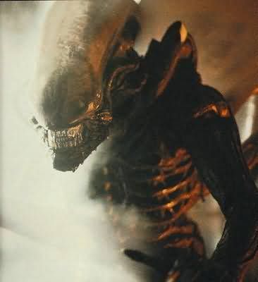 Alien 1979 Pictures, Images and Photos