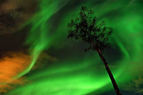fotos_artico_aurora_boreal.jpg picture by powerponcho