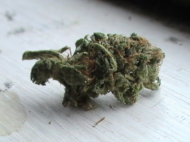 krypto kush