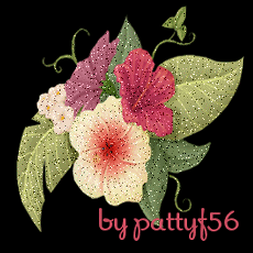 pattyf56_Animazione15.gif picture by patmm