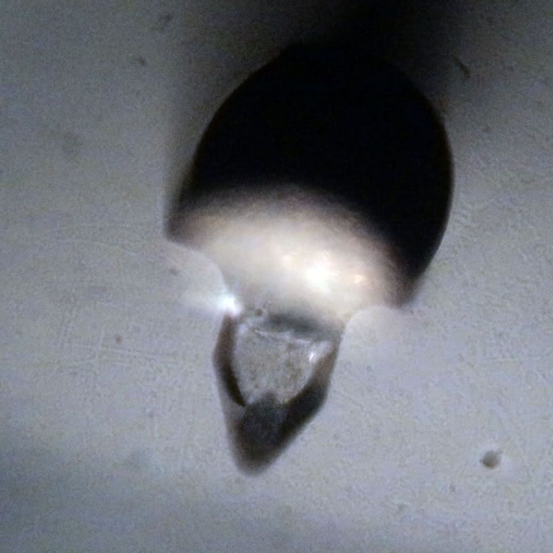 Baerwald Protractor vs Standard Technics cartridge mount plus AT150e