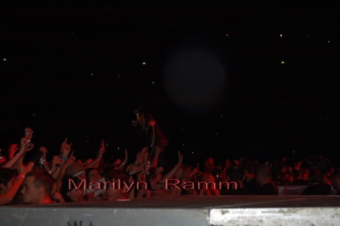 3107790_DSC_0263.jpg picture by Ewellyn10