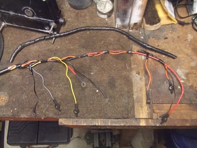 Harness.jpg