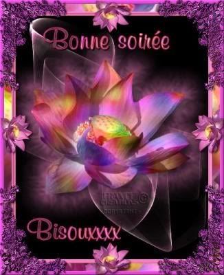 bonne soiree Pictures, Images and Photos
