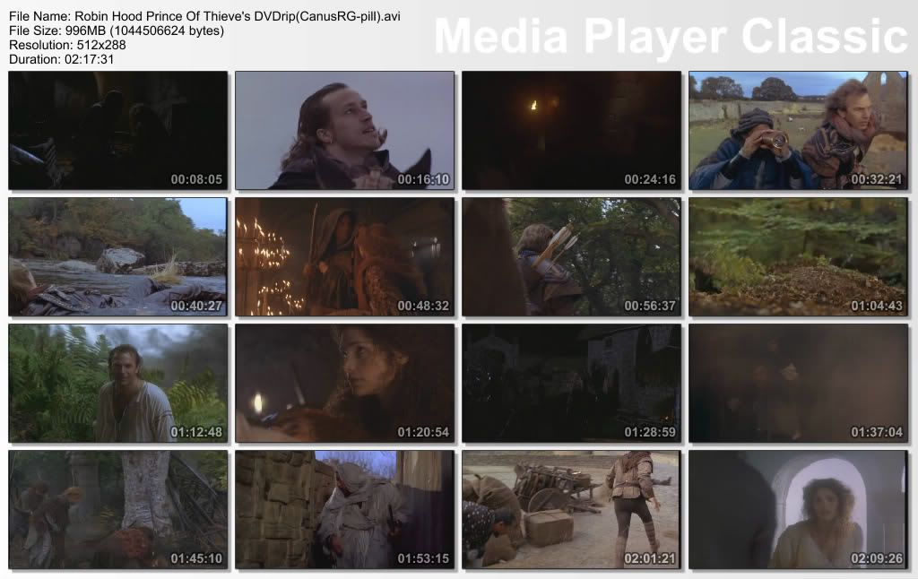 Robin Hood Prince Of Thieve's DVDrip(CanusRG pill) preview 1