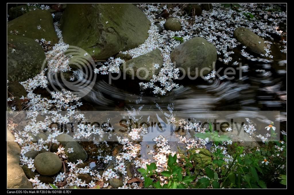 落花流水