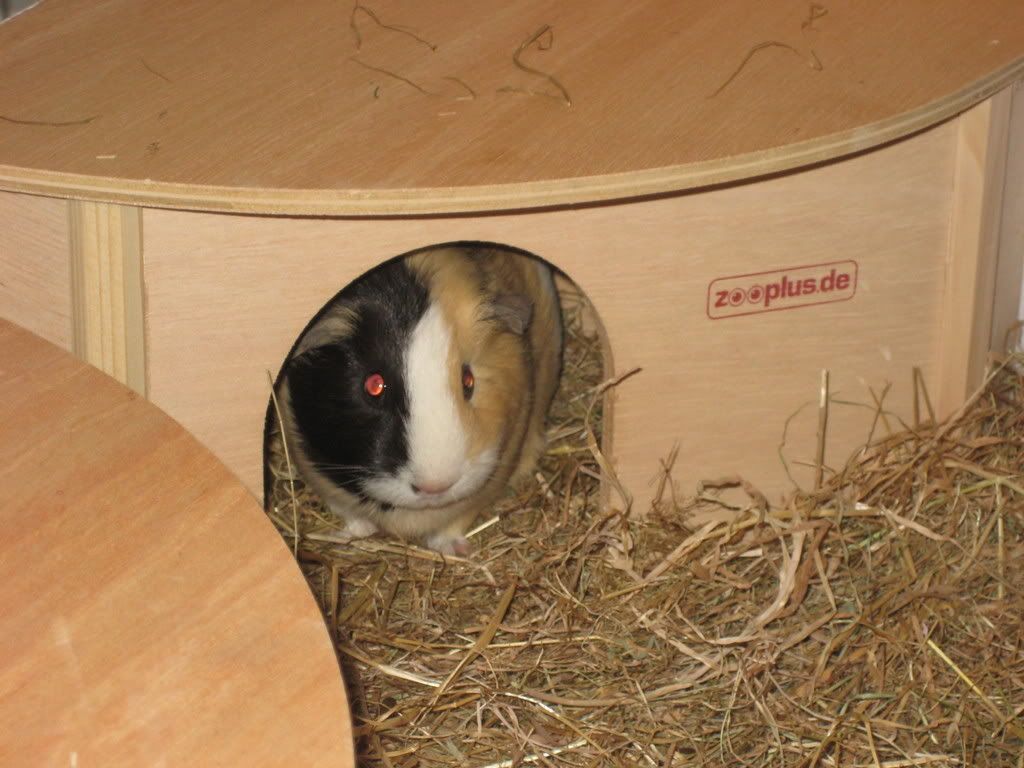 Picture264.jpg