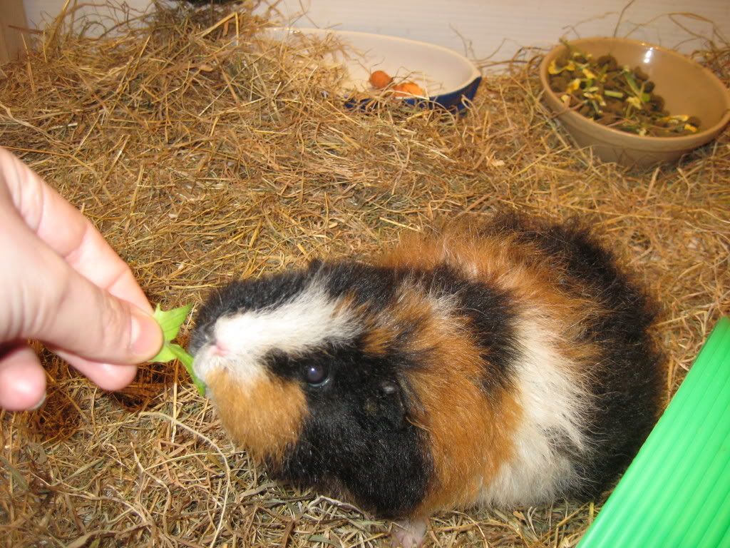 Picture272.jpg