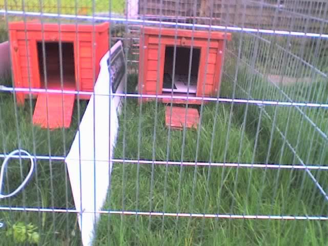 22-04-08_1821.jpg