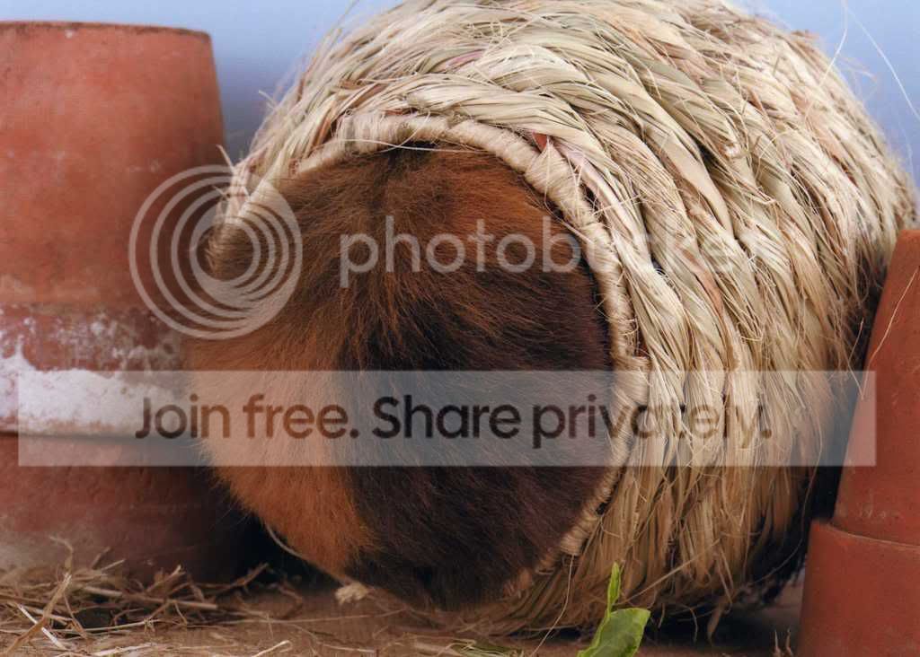 Milliebigbum.jpg