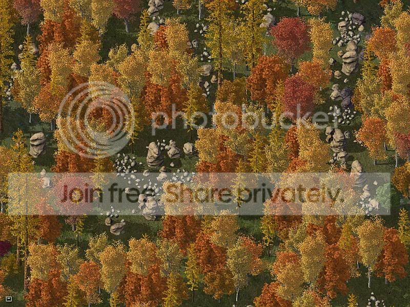 SlapshireCounty-21Nov.jpg