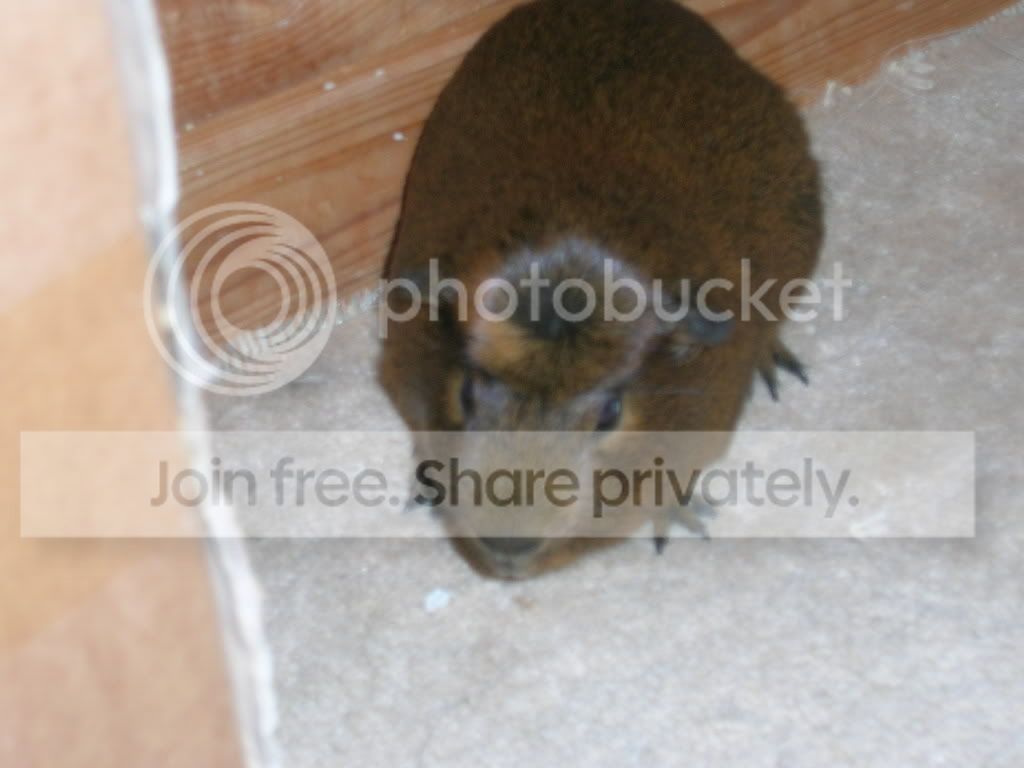 Picture043.jpg