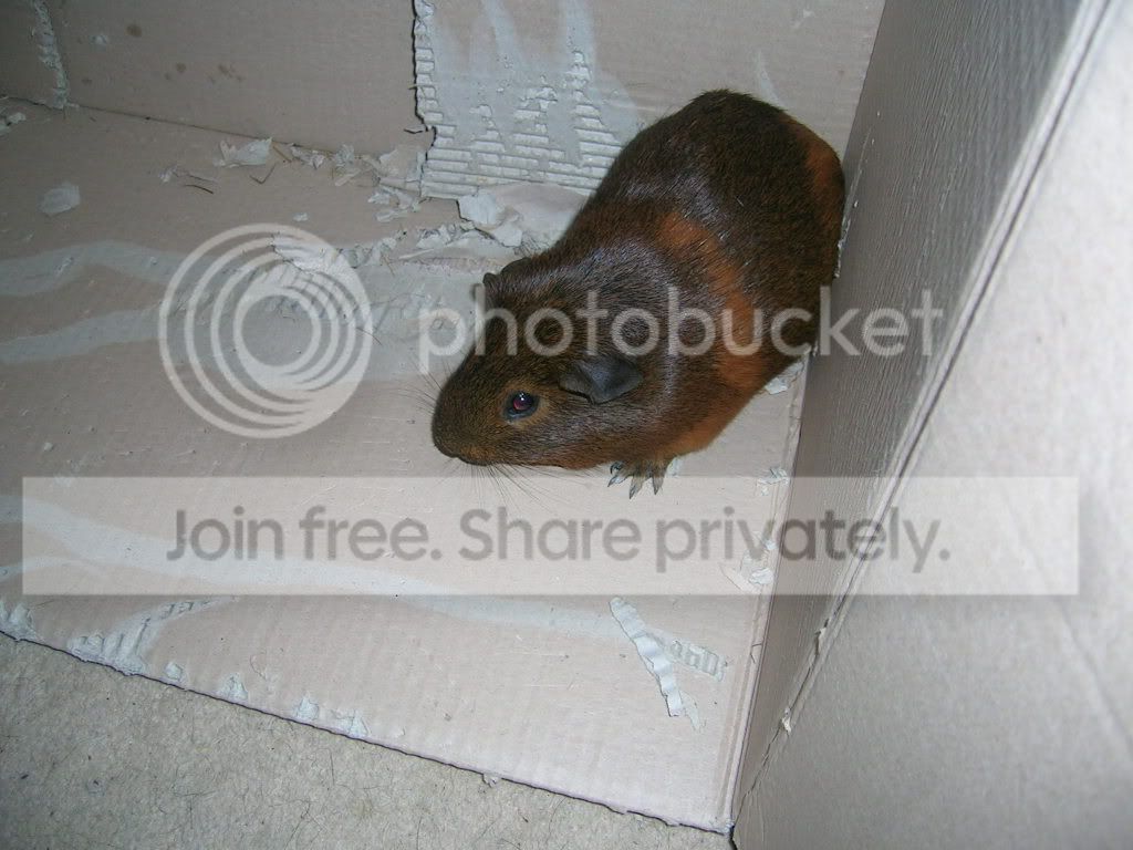 Picture044.jpg