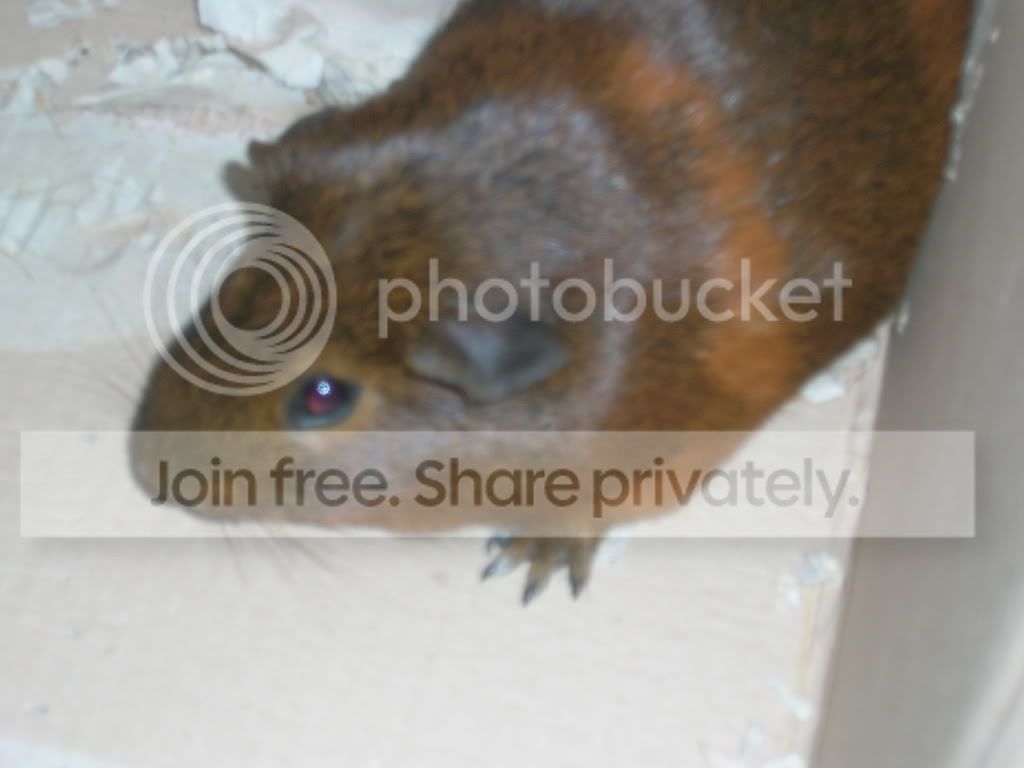 Picture045.jpg