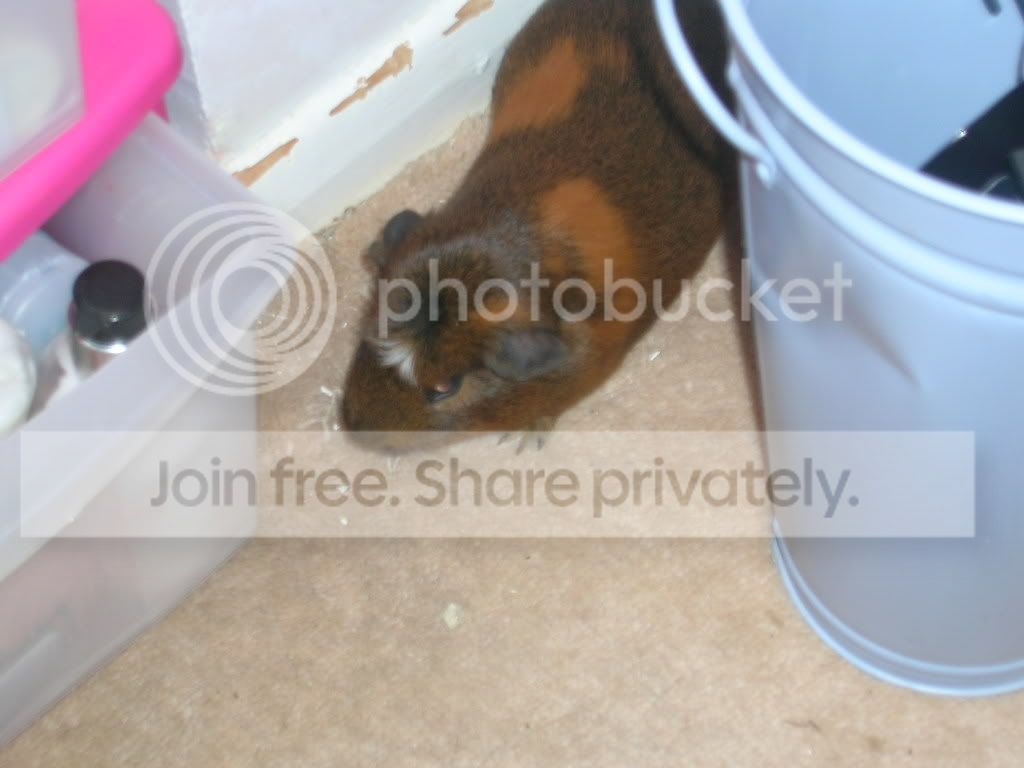 Picture046.jpg