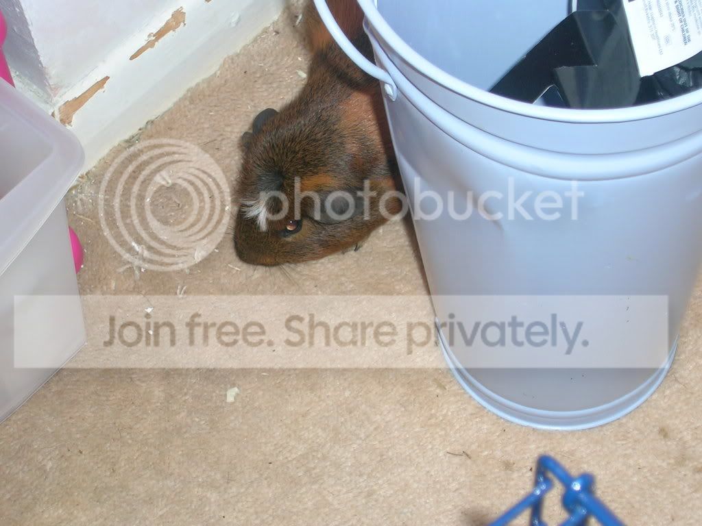 Picture048.jpg
