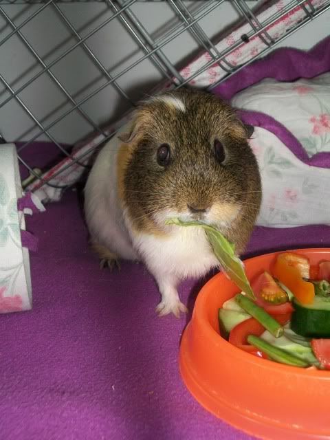 100_7250.jpg
