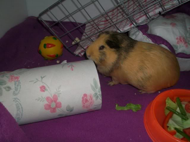 100_7276.jpg